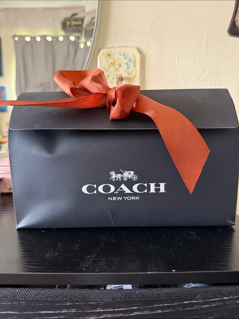 Disney X Coach Charter Slim Crossbody Bag With Sticker Print-NIBWT!!! - Picture 3 of 8
